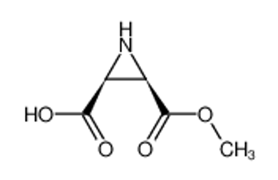 Picture of (2S,3R)-Aziridine-2,3-dicarboxylic acid monomethyl ester
