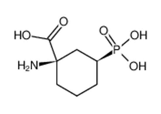 Picture of trans-1(RS)-amino-3(RS)-phosphonocyclohexanecarboxylic acid