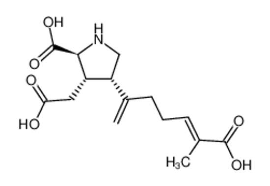Picture of Isodomoic acid C