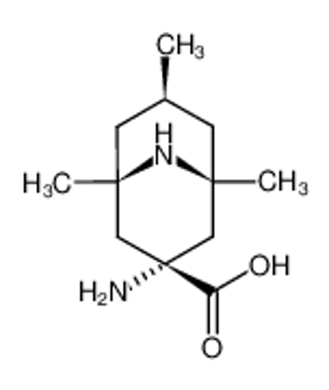Изображение Acide 3-amino-1,5,7-trimethyl-9-azabicyclo<3.3.1>nonane-3-carboxylique