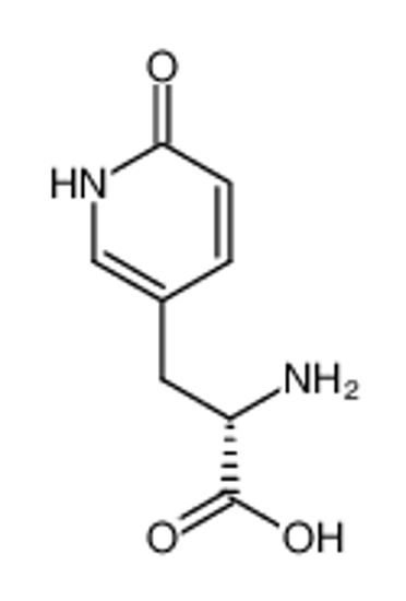 Picture of (S)-β-(2-oxo-1,2-dihydro-5-pyridyl)alanine