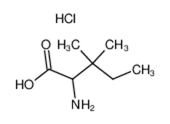 Picture of 2-amino-3,3-dimethylpentanoic acid hydrochloride