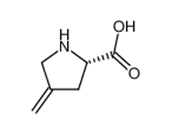 Picture of (2S)-4-methylenepyrrolidine-2-carboxylic acid