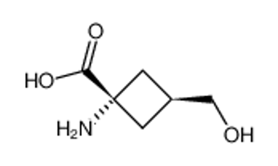 Picture of trans-1-amino-3-(hydroxymethyl)cyclobutane-1-carboxylic acid