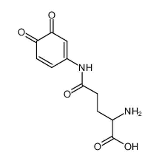 Picture of γ-L-glutaminyl-3,4-benzoquinone