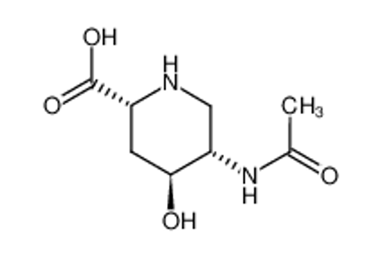 Изображение (2R,4S,5S)-acetamido-4-hydroxy-pipecolin acid
