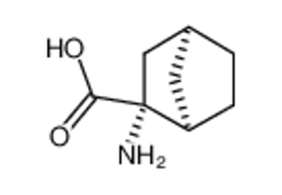 Picture of (-)-(1R,2R,4S)-2-aminobicyclo<2.2.1>heptane-2-carboxylic acid