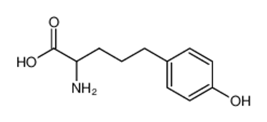 Picture of L-2-amino-5-(p-hydroxyphenyl)pentanoic acid