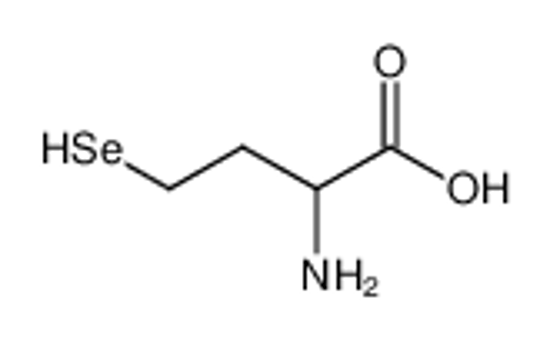 Picture of DL-Selenocystein