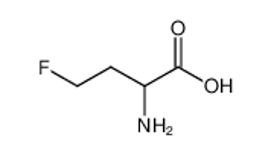 Picture of 4-fluoro-L-α-aminobutyric acid