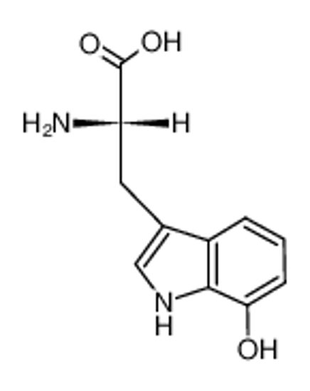 Picture of 7-Hydroxy-L-tryptophan