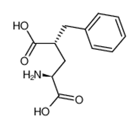 Изображение (2S,4R)-2-amino-4-benzyl pentanedioic acid