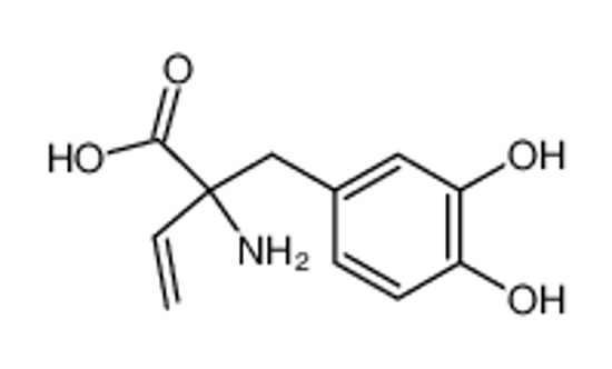 Изображение (+/-)-α-Vinyl-DOPA