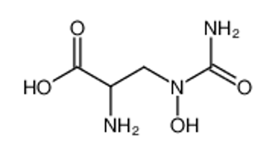 Picture of 2-Amino-3-(1-hydroxyureido)-propionsaeure