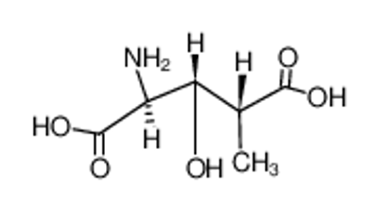 Picture of 2(S),3(S),4(R)-β-Hydroxy-γ-methylglutaminsaeure