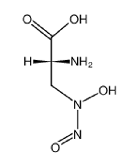Picture of D-2-Amino-3-<N-nitroso-hydroxylamino>-propionsaeure