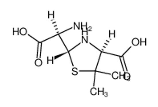 Изображение (4S)-2t-((R)-amino-carboxy-methyl)-5,5-dimethyl-thiazolidine-4r-carboxylic acid