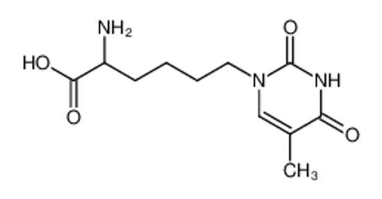 Picture of 2-amino-6-(1-thyminyl)hexanoic acid