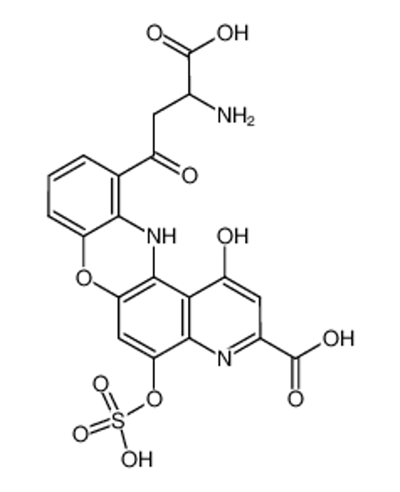 Imagem de 11-(3-amino-3-carboxy-propionyl)-1-oxo-5-sulfooxy-1,12-dihydro-4H-pyrido[3,2-a]phenoxazine-3-carboxylic acid