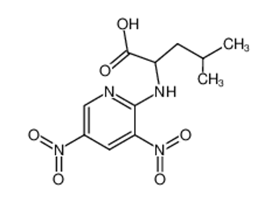 Picture of (+-)-<3,5-Dinitro-pyridyl-(2)>-leucin