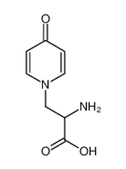 Изображение 2-amino-3-(4-oxo-4H-pyridin-1-yl)-propionic acid