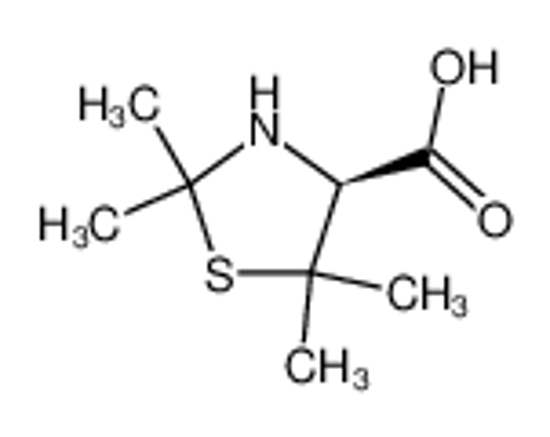 Изображение (4S)-2,2,5,5-tetramethylthiazolidine-4-carboxylic acid