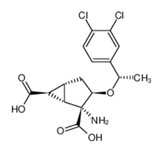 Picture of (1S,2R,3R,5R,6S)-2-amino-3-((S)-1-(3,4-dichlorophenyl)ethoxy)bicyclo[3.1.0]hexane-2,6-dicarboxylic acid