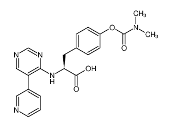 Picture of (S)-3-(4-((dimethylcarbamoyl)oxy)phenyl)-2-((5-(pyridin-3-yl)pyrimidin-4-yl)amino)propanoic acid