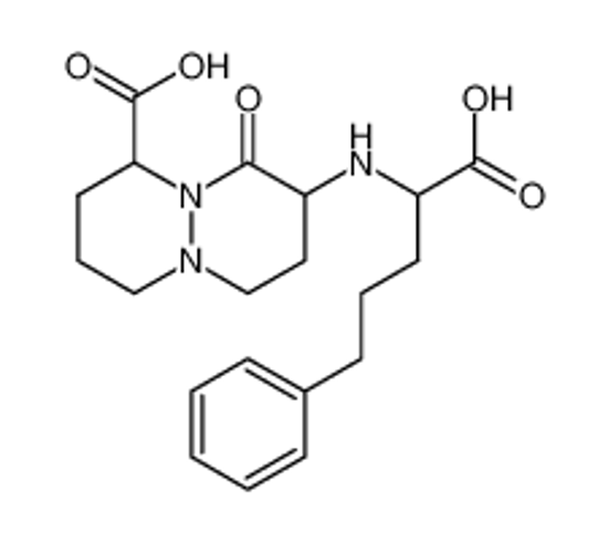Picture of 8-(1-carboxy-4-phenylbutylamino)-octahydro-9-oxopyridazo[1,2-a]pyridazine-1-carboxylic acid