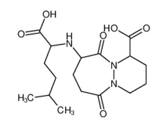 Изображение 9-(1-carboxy-4-methylpentylamino)-octahydro-6,10-dioxo-6H-pyridazo[1,2-a][1,2]diazepine-1-carboxylic acid