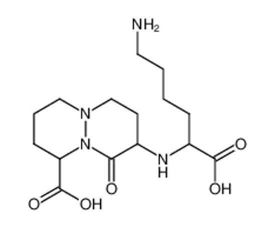 Picture of 8-(5-amino-1-carboxypentylamino)-octahydro-9-oxopyridazo[1,2-a]pyridazine-1-carboxylic acid