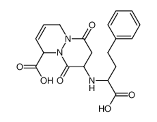 Picture of 8-(1-carboxy-3-phenylpropylamino)-1,4,5,7,8,9-hexahydro-6,9-dioxopyridazo[1,2-a]pyridazine-1-carboxylic acid