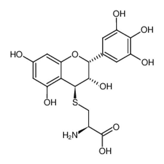 Picture of 4β-(S-L-cysteinyl)-(-)-epigallocatechin