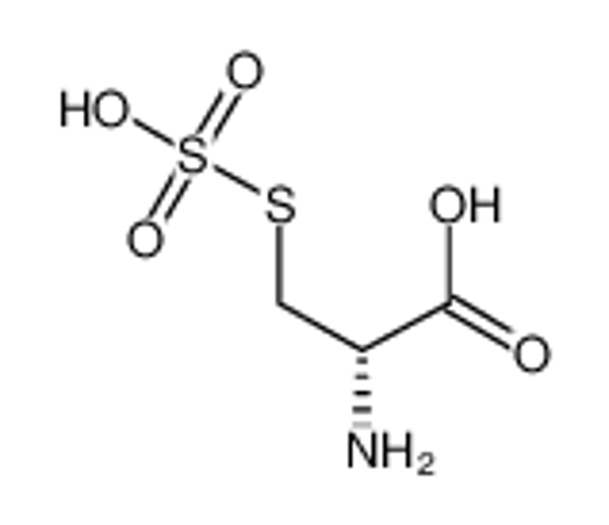 Imagem de S-Sulfo-D-cysteine