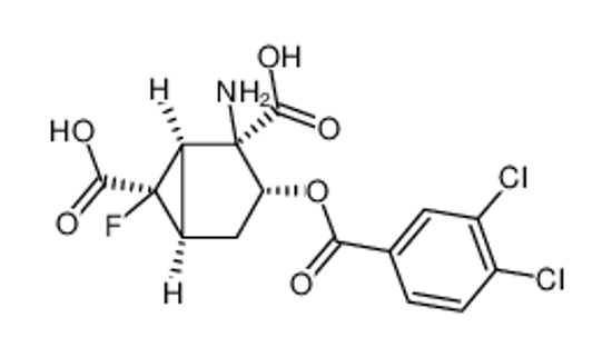 Picture of (1R,2R,3R,5R,6R)-2-amino-3-(3,4-dichlorobenzoyloxy)-6-fluoro-bicyclo[3.1.0]hexane-2,6-dicarboxylic acid