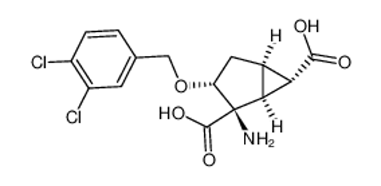 Picture of (1S,2R,3R,5R,6S)-2-amino-3-(3,4-dichlorobenzyloxy)bicyclo[3.1.0]hexane-2,6-dicarboxylic acid