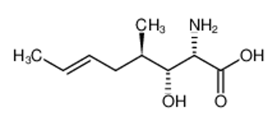 Picture of (2S,3R,4R,6E)-3-hydroxy-4-methyl-2-amino-oct-6-enoic acid
