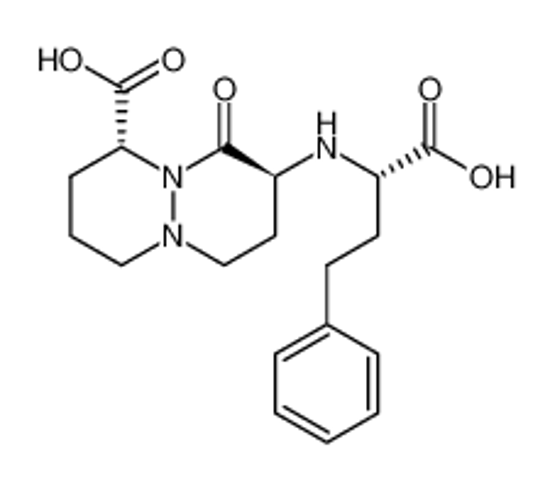 Picture of (1R,8S)-8-((S)-1-Carboxy-3-phenyl-propylamino)-9-oxo-octahydro-pyridazino[1,2-a]pyridazine-1-carboxylic acid