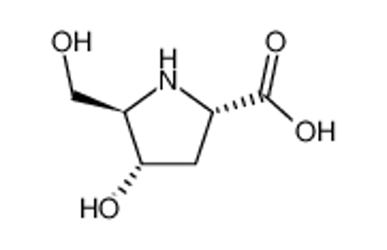 Picture of (-)-bulgecinine