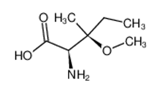 Picture of (+-)-threo-β-Methoxy-isoleucin