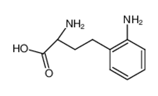 Изображение (+-)-2-amino-4-(2-amino-phenyl)-butyric acid