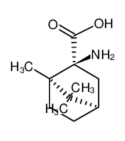 Picture of (1R)-2-amino-1,7,7-trimethyl-norbornane-2exo-carboxylic acid