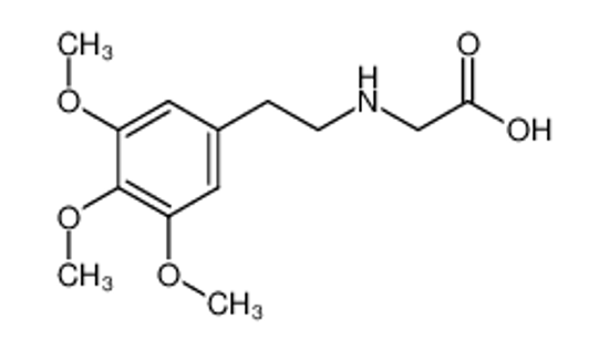 Изображение [2-(3,4,5-Trimethoxy-phenyl)-ethylamino]-acetic acid
