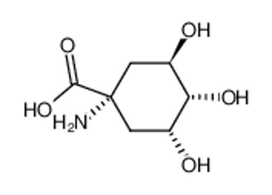 Изображение (-)-1-Amino-3,4,5-trihydroxy-cyclohexan-1-carbonsaeure