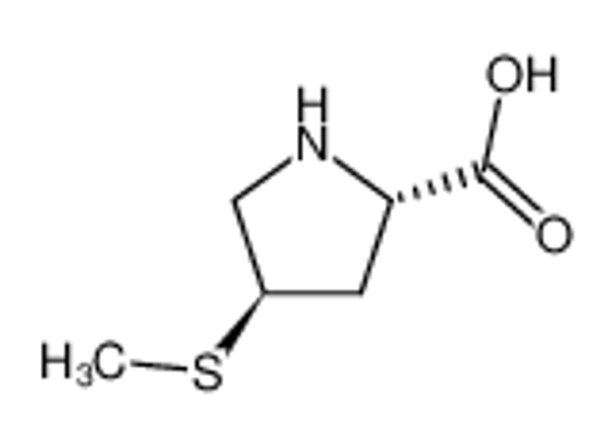 Imagem de trans-4-methylsulfanyl-L-proline
