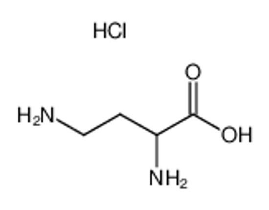 Picture of (+-)-2,4-diamino-butyric acid, monohydrochloride