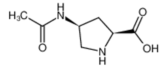 Picture of (4S)-4-N-acetyl-4-amino-L-proline