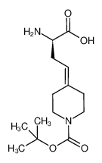 Imagem de (R)-2-amino-4-(1-(tert-butoxycarbonyl)piperidin-4-ylidene)butanoic acid