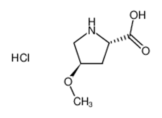 Изображение (2S,4R)-4-methoxypyrrolidine-2-carboxylic acid hydrochloride
