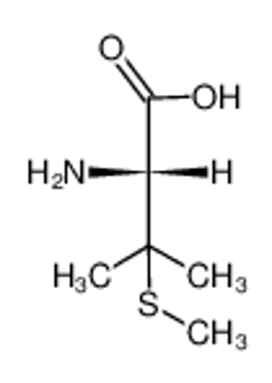 Picture of S-methyl-L-penicillamine